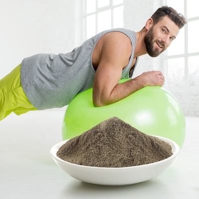 OEM Suplemen Bubuk Protein Organik Berkualitas Tinggi Berat Badan Bubuk Protein Vegan