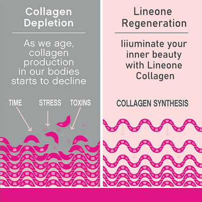 OEM Collagen Protein Drink Powder Produk Kecantikan Hydrolyzed Fish Collagen Peptide