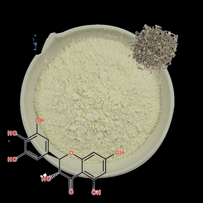 OEM private label dihydromyricetin dari vine tea Vine Tea Extract bubuk dihydromyricetin 98%