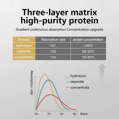 OEM/ODM Whey Protein Powder Nutrition Powder Latihan Kebugaran Meningkatkan Otot Berat Badan Cepat Dapatkan Creatine Powder