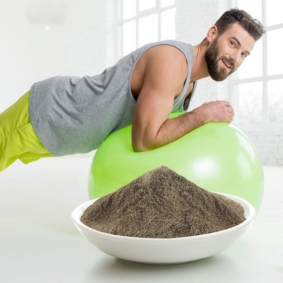 Protein Organik Bubuk OEM Berat Badan Bubuk Protein Vegan