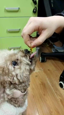 Suplemen Nutrisi Kesehatan Hewan Peliharaan OEM Minyak Ikan Untuk Anjing Dan Kucing Omega 3