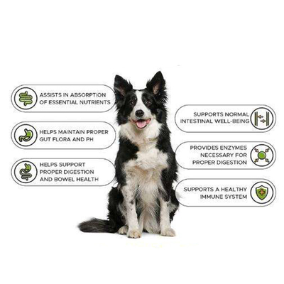 OEM Natur Pet Nutrit Training Dapatkan Suplemen Tablet Kesehatan Otot Gain Builder Dog Weight Gain Suplemen Protein