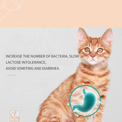 Kittens OEM Suplemen Susu Kucing Suplemen Perawatan Kesehatan Hewan Peliharaan
