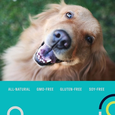 Multivitamin Suplemen Nutrisi Pet Suplemen Probiotik Harian Gratis OEM Untuk Anjing
