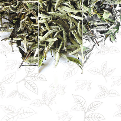 OEM detoksifikasi teh tumor datar Teh penurun berat badan herbal tradisional Kemasan daun netral