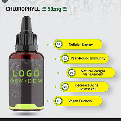 OEM / ODM Chlorophyll Liquid Tetes Untuk Air Peppermint Flavoured Untuk Kesehatan Kulit Dukungan Kekebalan Tubuh Suplemen Energi