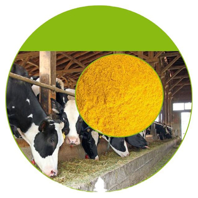 Minyak Vitamin E Suplemen Nutrisi Wanita Untuk Kesehatan Pria Dan Wanita