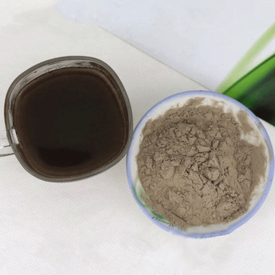 Bubuk Enzim Noni Baru Untuk Bubuk Minuman Padat