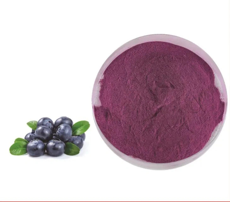 Ekstrak Buah Alami Minuman Padat Instan Buah Berry Juice Powder