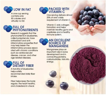 Ekstrak Buah Alami Minuman Padat Instan Buah Berry Juice Powder