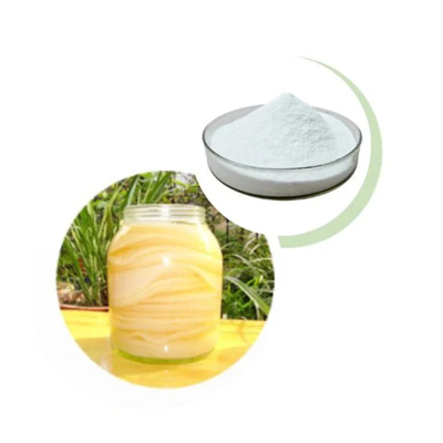 Stok Besar Pasokan Teh Solid Minuman Probiotik Kombucha Powder Pabrik Grosir