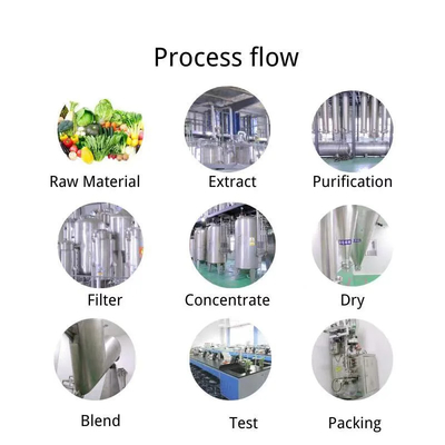 Stok Besar Pasokan Teh Solid Minuman Probiotik Kombucha Powder Pabrik Grosir