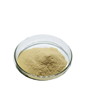 Suplemen alami Ekstrak Daun Teh Hijau Kualitas Tinggi 98% Powder Polifenol Teh