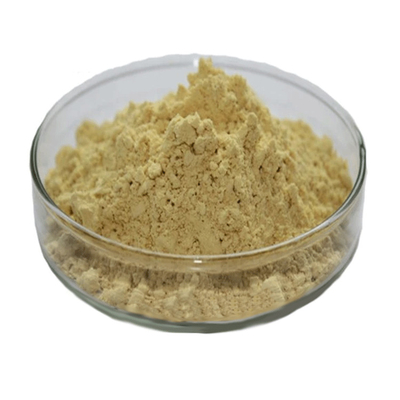 Suplemen alami Ekstrak Daun Teh Hijau Kualitas Tinggi 98% Powder Polifenol Teh